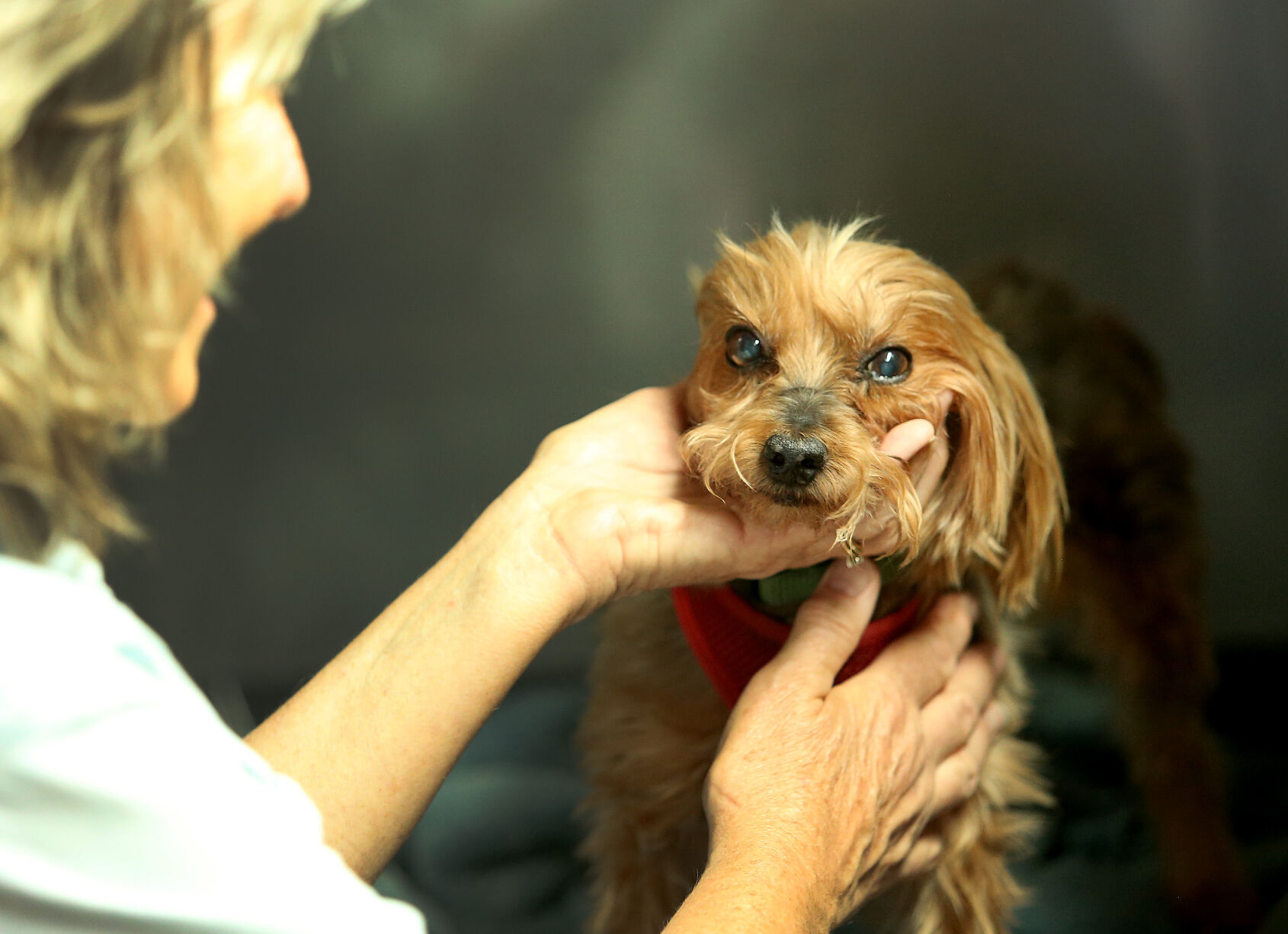 060518-qct-animal-sanctuary-014